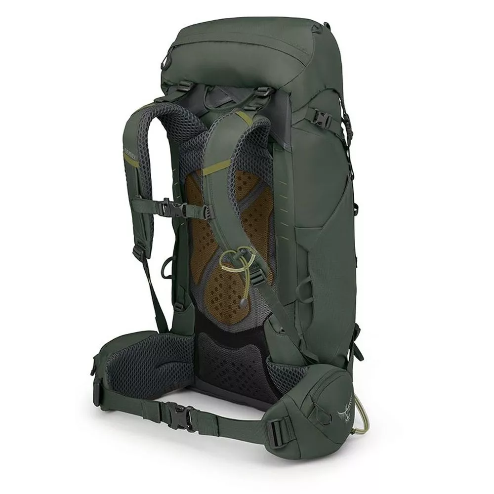 Trekkingrucksack Osprey Kestrel 38 L/XL, Bonsai Green 4 Trekkingrucksack Osprey Kestrel 38 L/XL, Bonsai Green – Bild 4